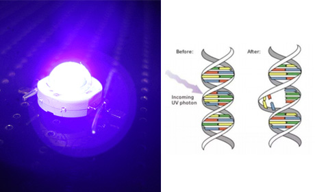 LED　　International Light Technologies　275nm UVC LED光源